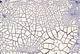 Diart n° 227 - Cretto